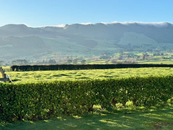 Matamata accommodation