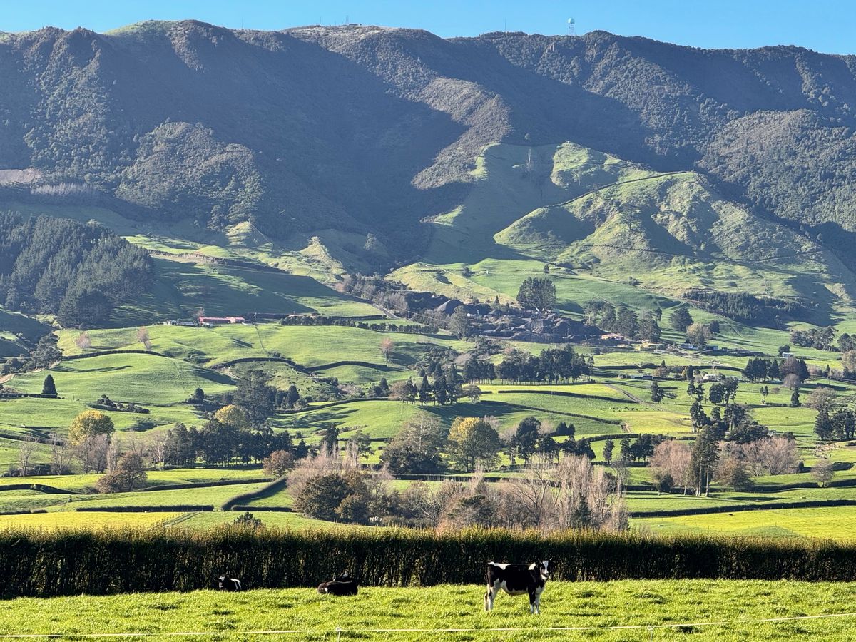 Matamata accommodation